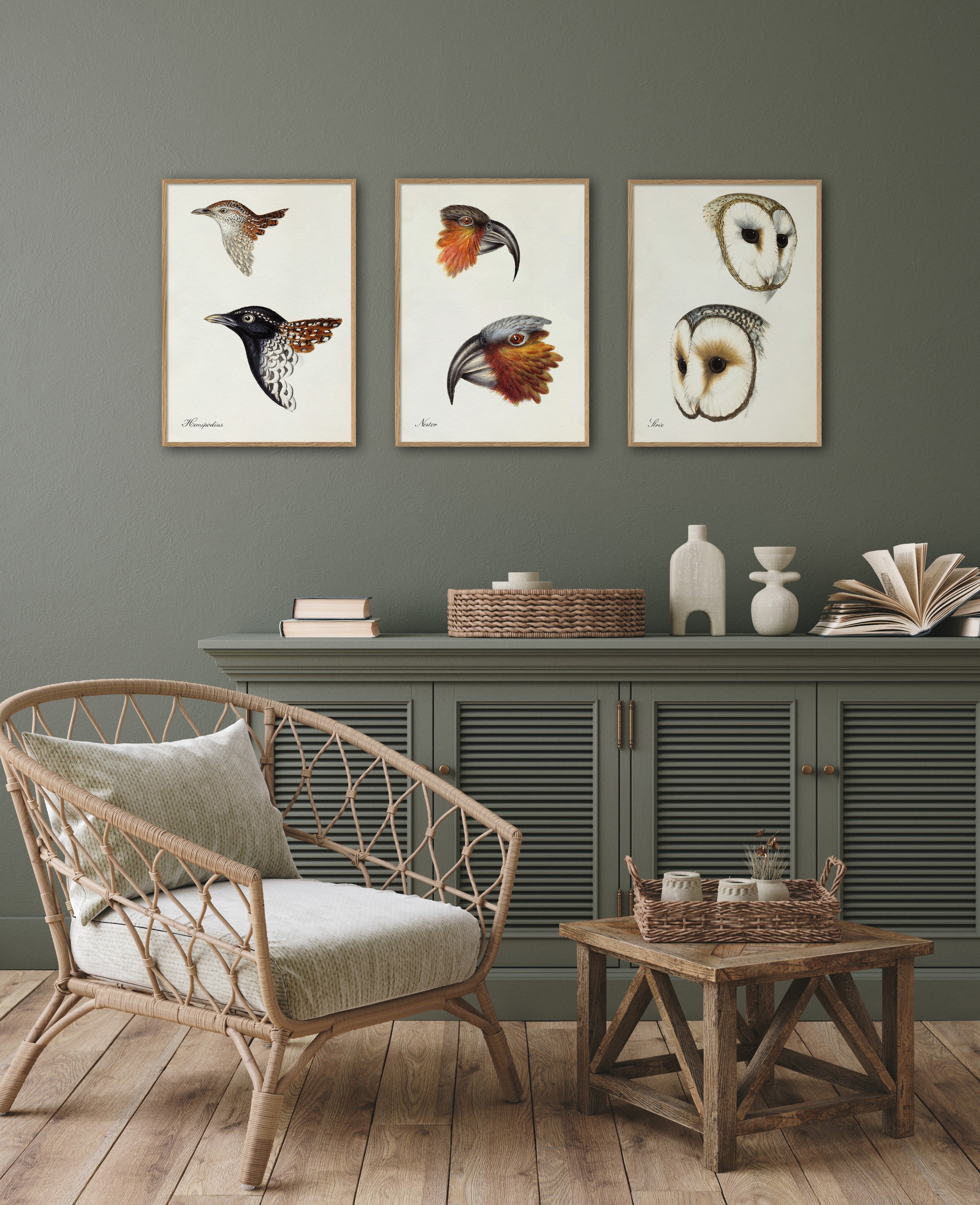 L'affiche oiseaux de Dybdahl Co. avec cadre en chêne