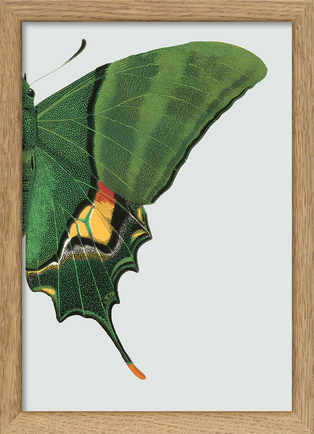 Green Butterfly Right. Mini Print – The Dybdahl Co.