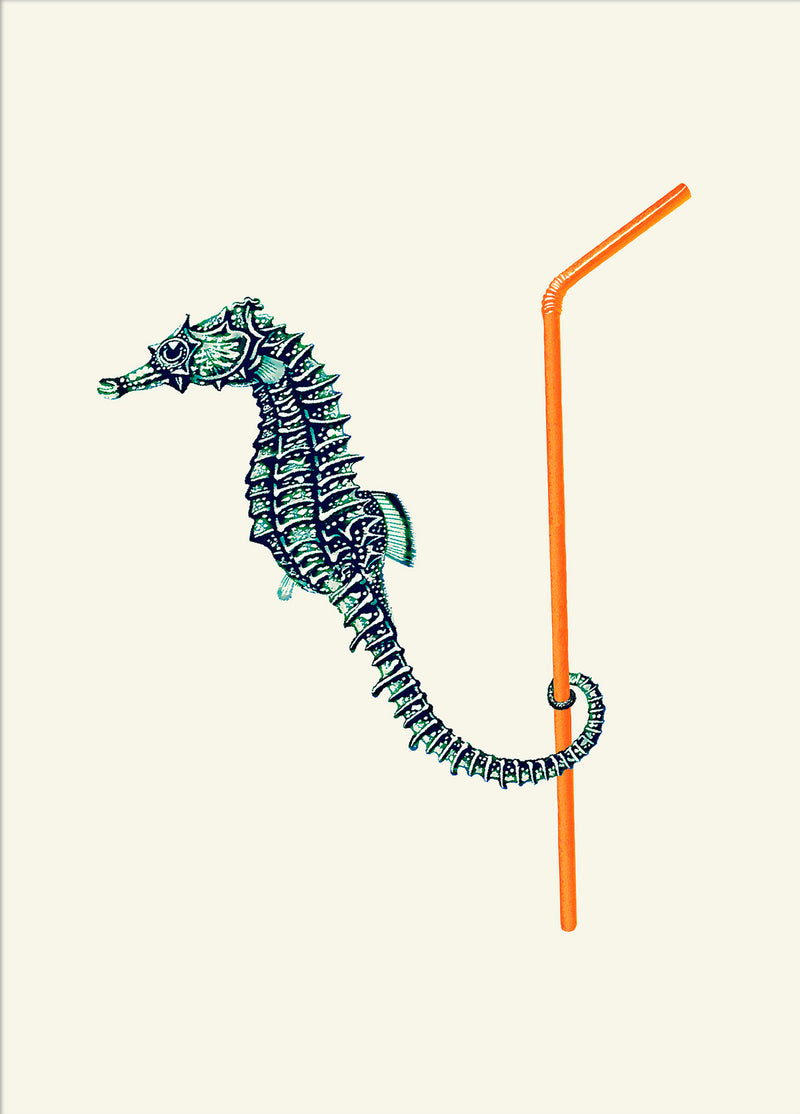 Seahorse and Straw.