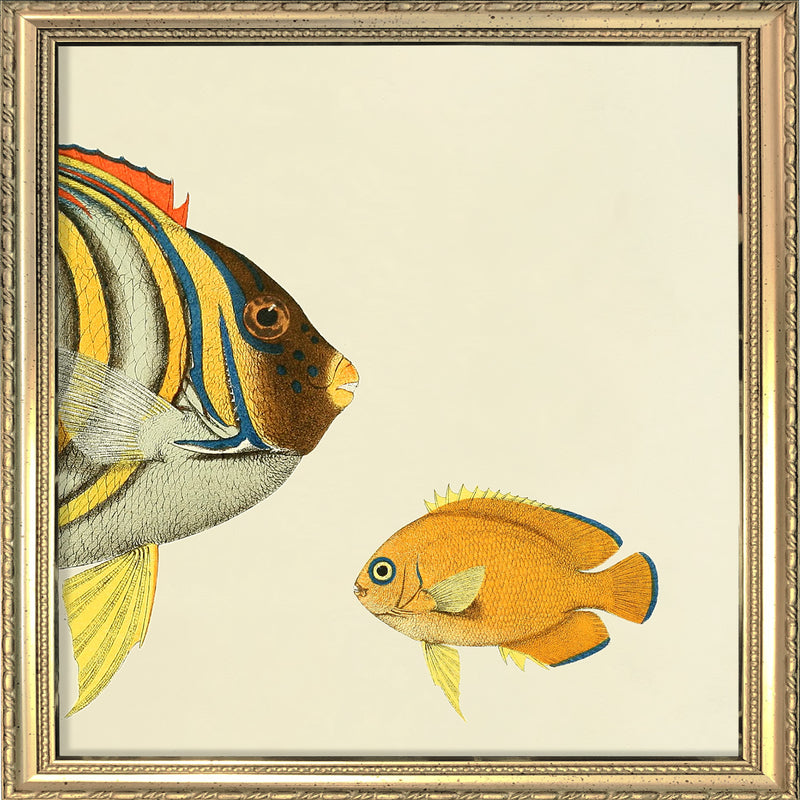 Yellow Striped Fish Head and Small Orange Fish. Mini Print
