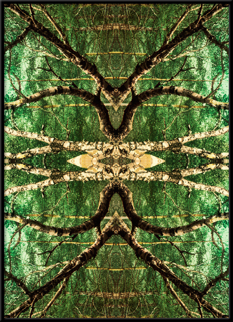 Spejling VII