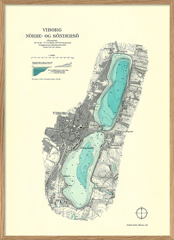 The Lakes of Viborg