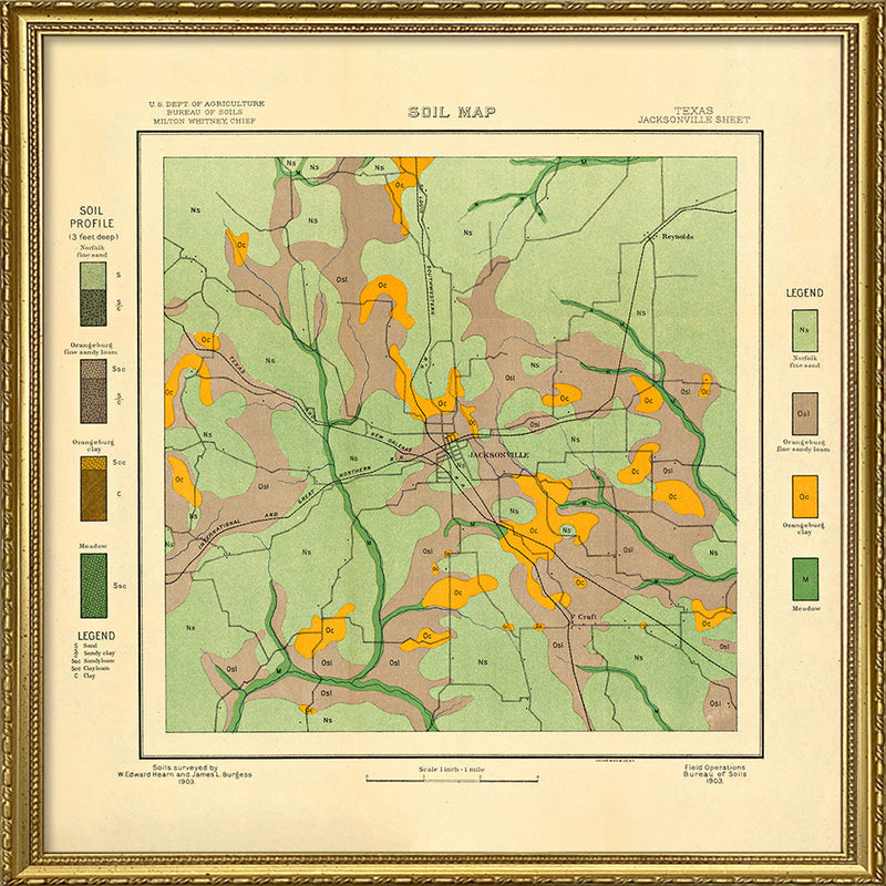 Vintage geological map of Jacksonville, Texas