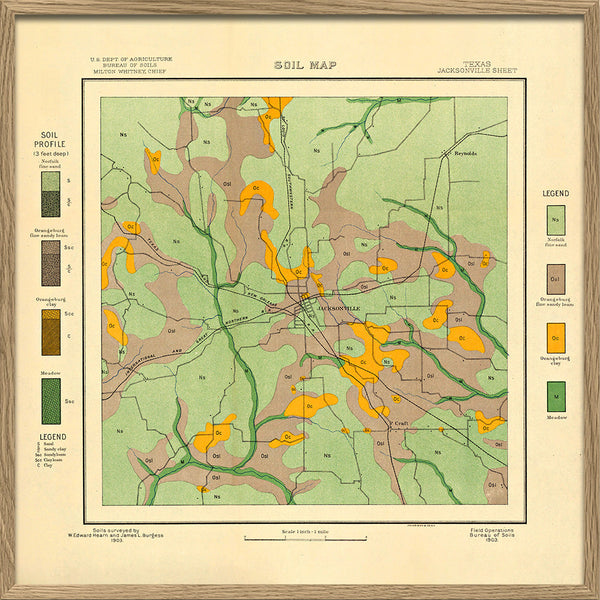 Vintage geological map of Jacksonville, Texas