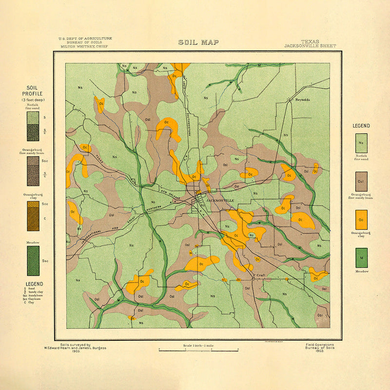 Vintage geological map of Jacksonville, Texas