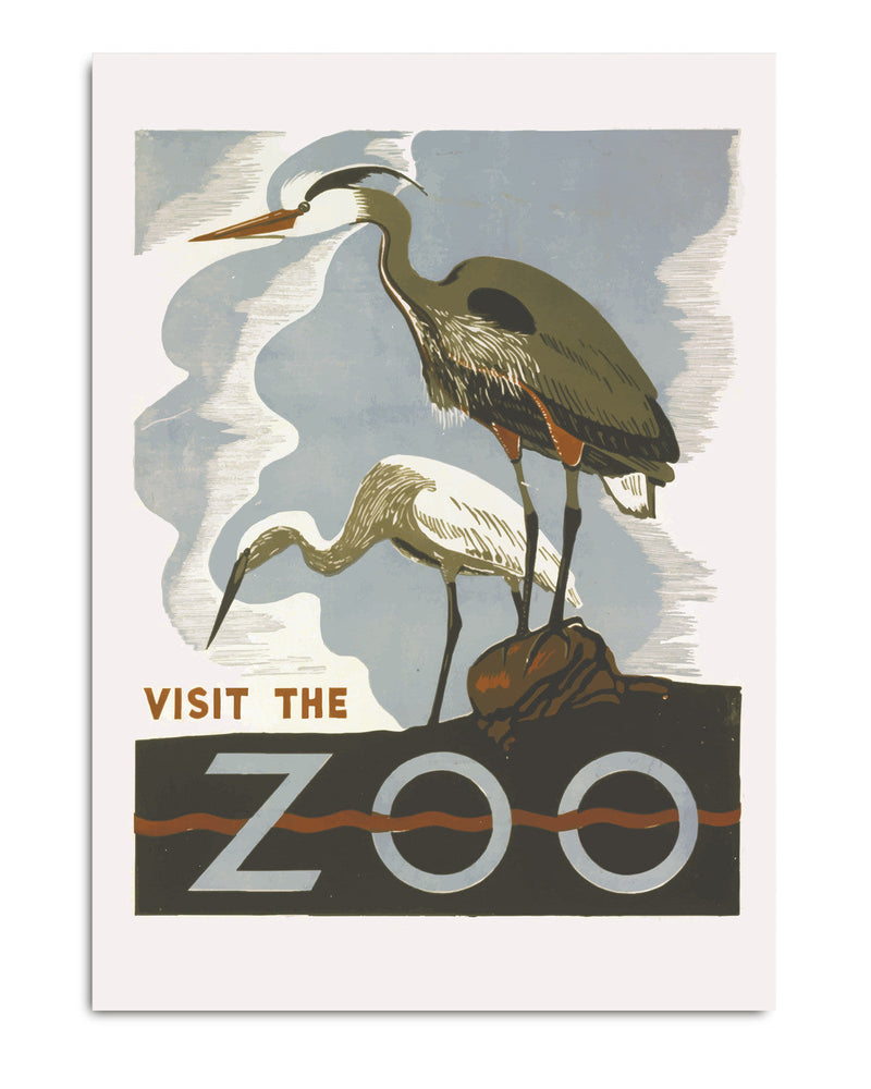 Visit the Zoo