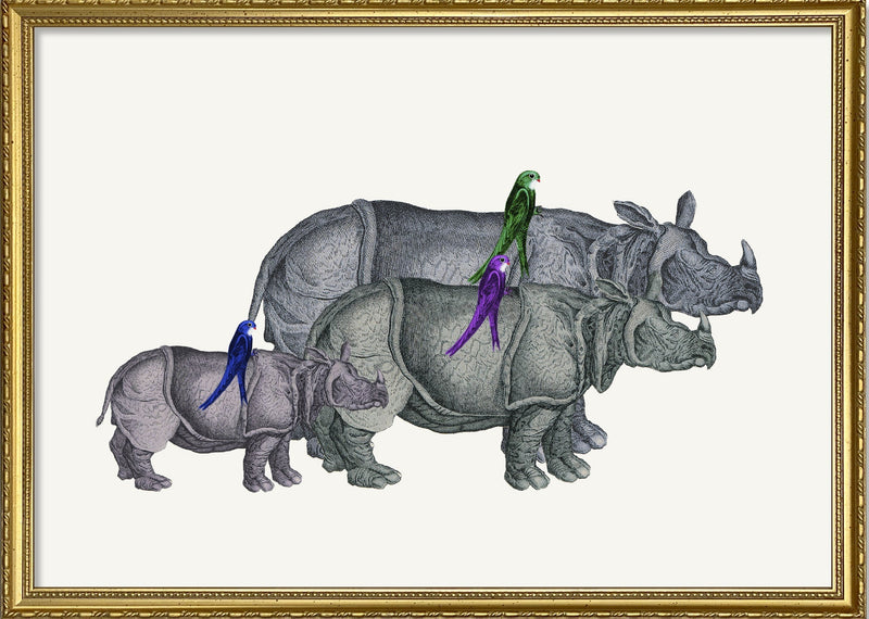 Rhinos and Birds