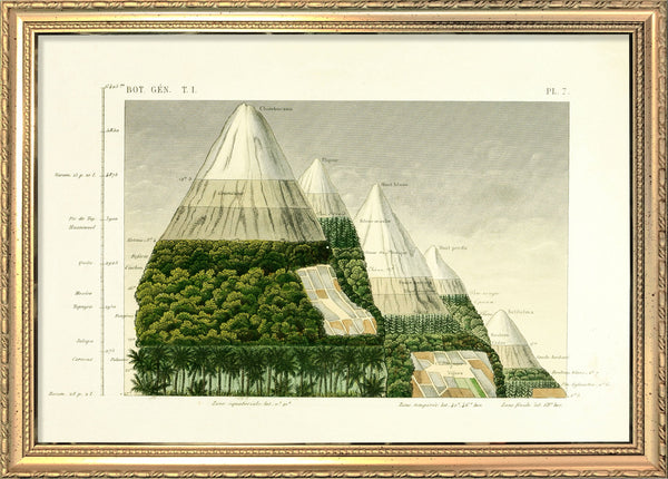 Mountain and Vegetation II. Mini Print