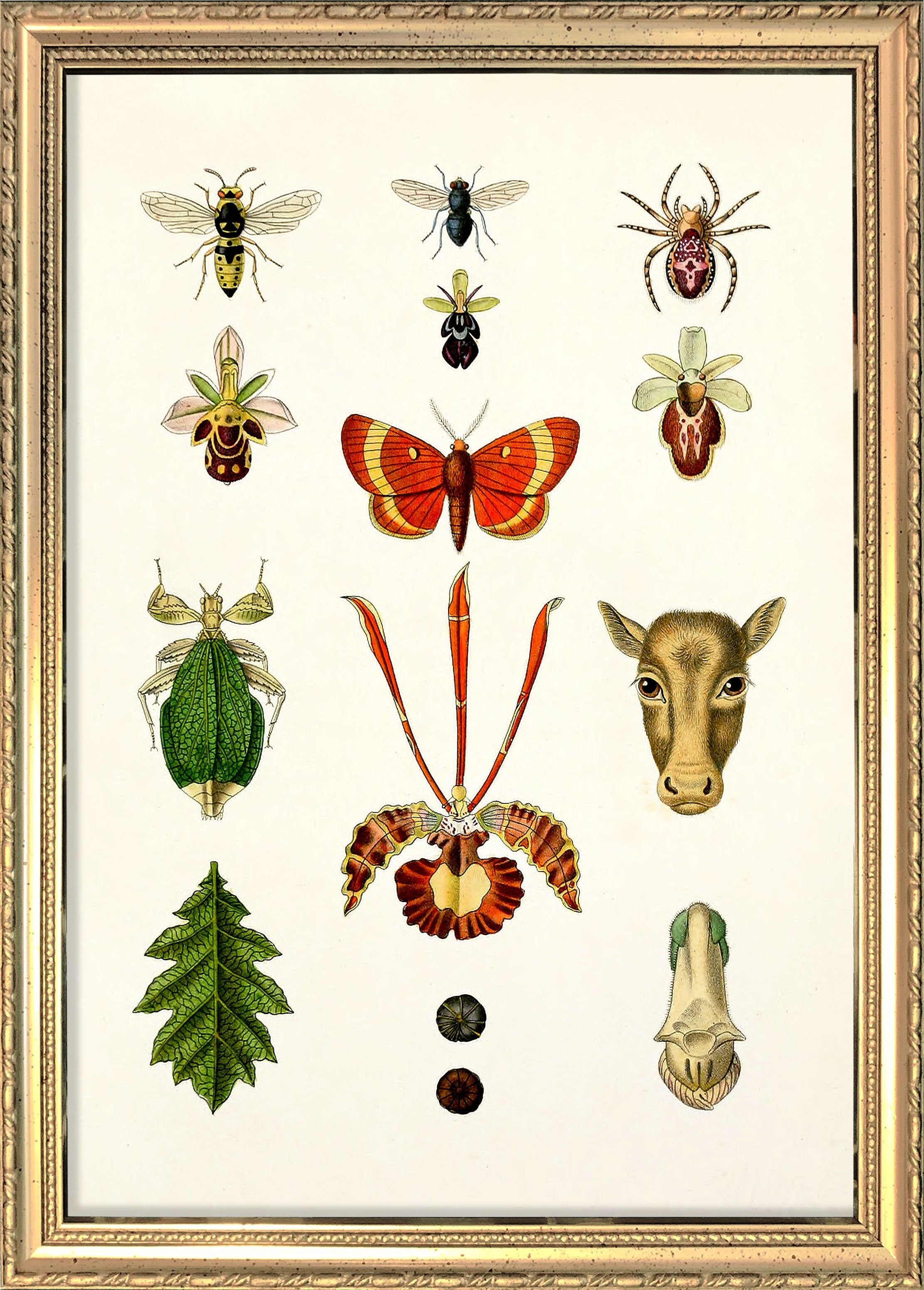 Design no. 1404 – The Dybdahl Co.