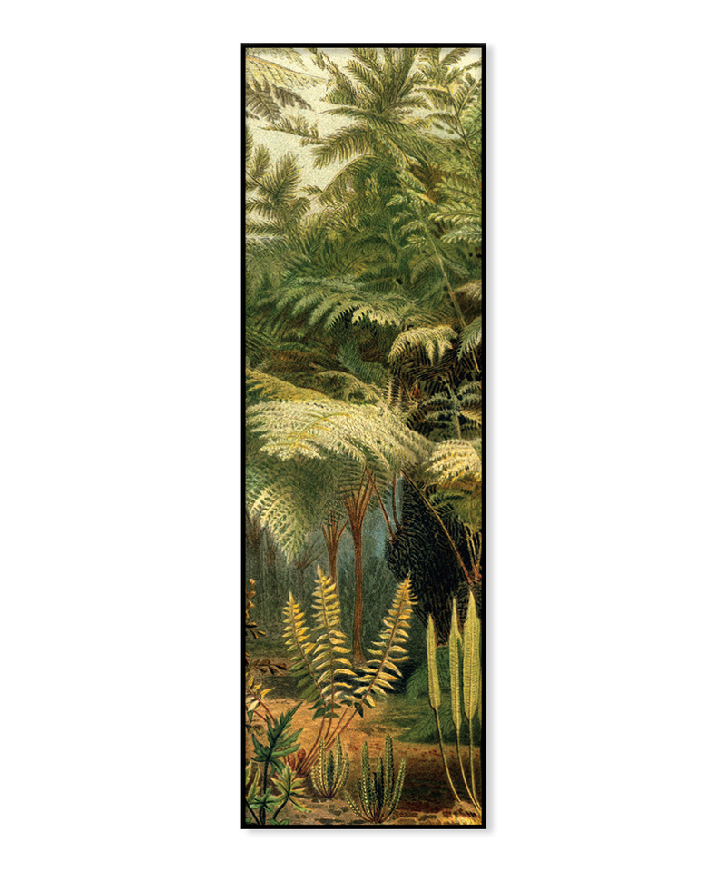 Ferns Slim