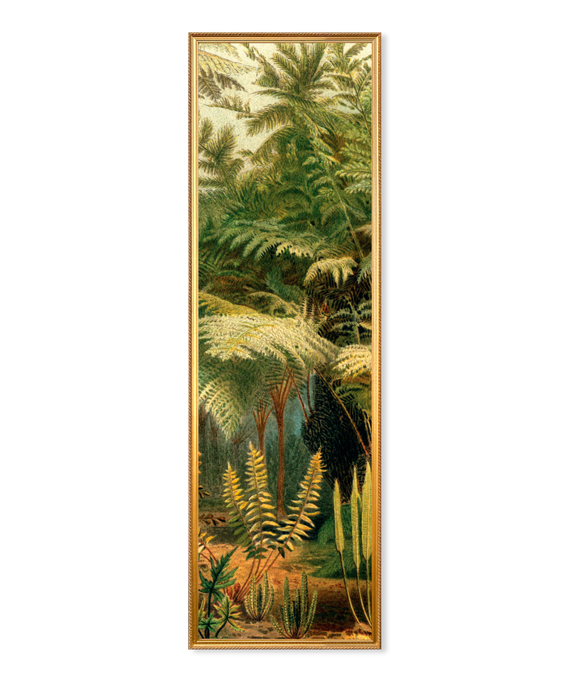 Ferns Slim