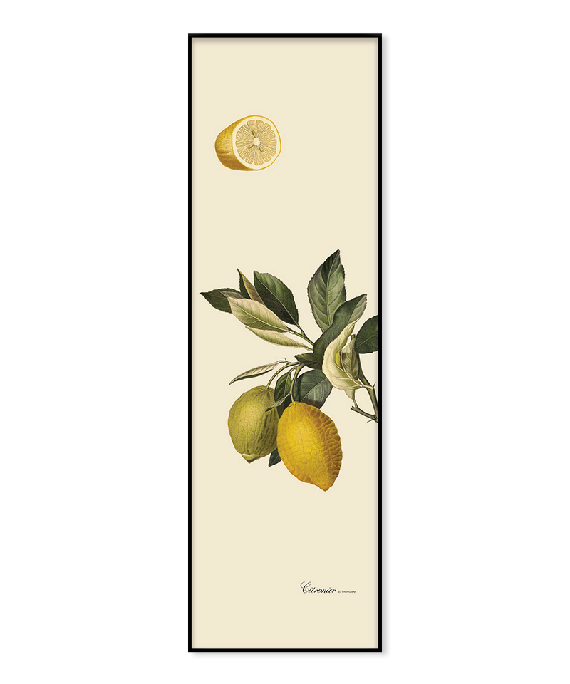 Citrus Slim