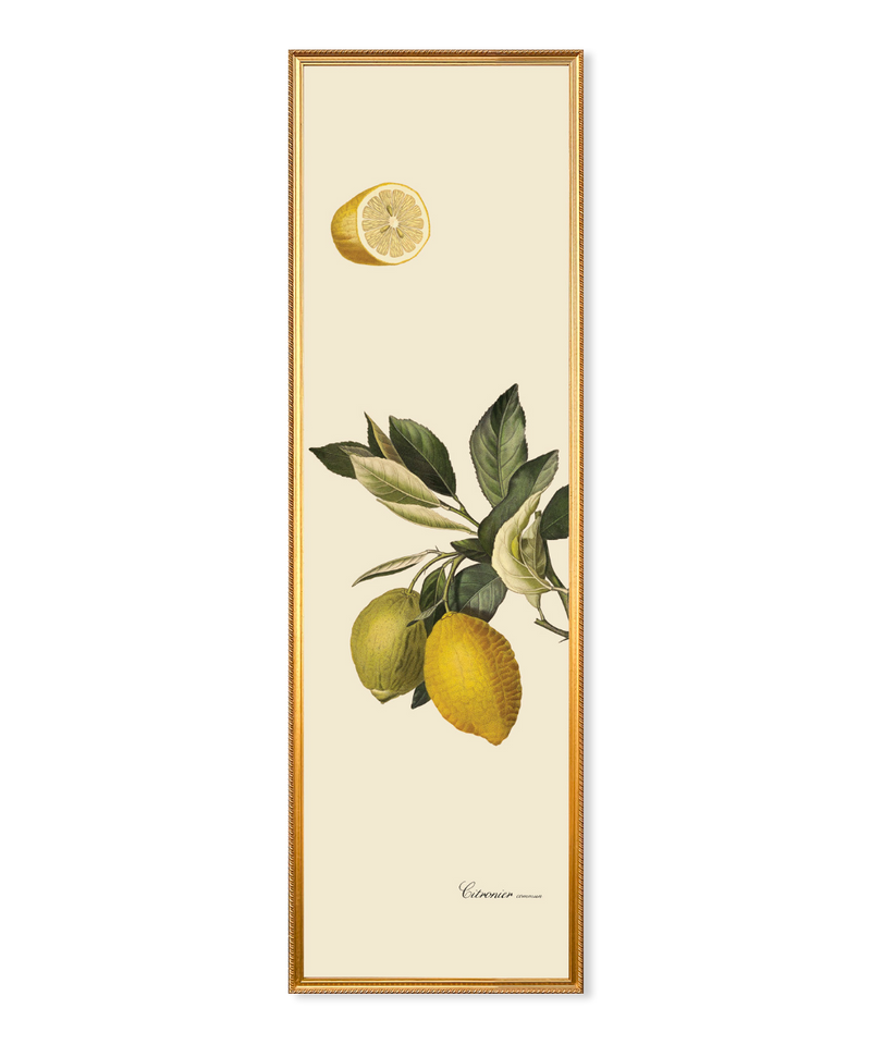 Citrus Slim