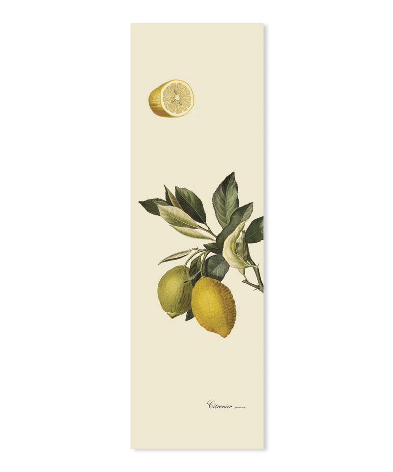 Citrus Slim