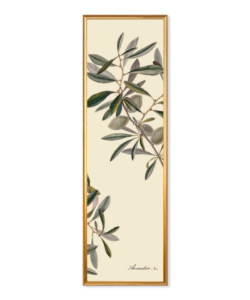 Almonds Slim