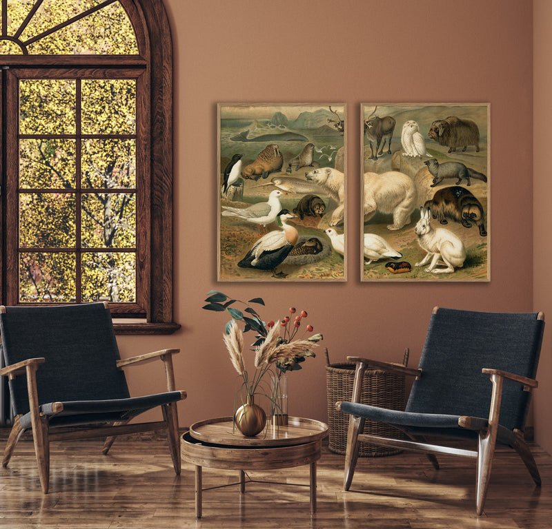 Arctic Fauna Left side