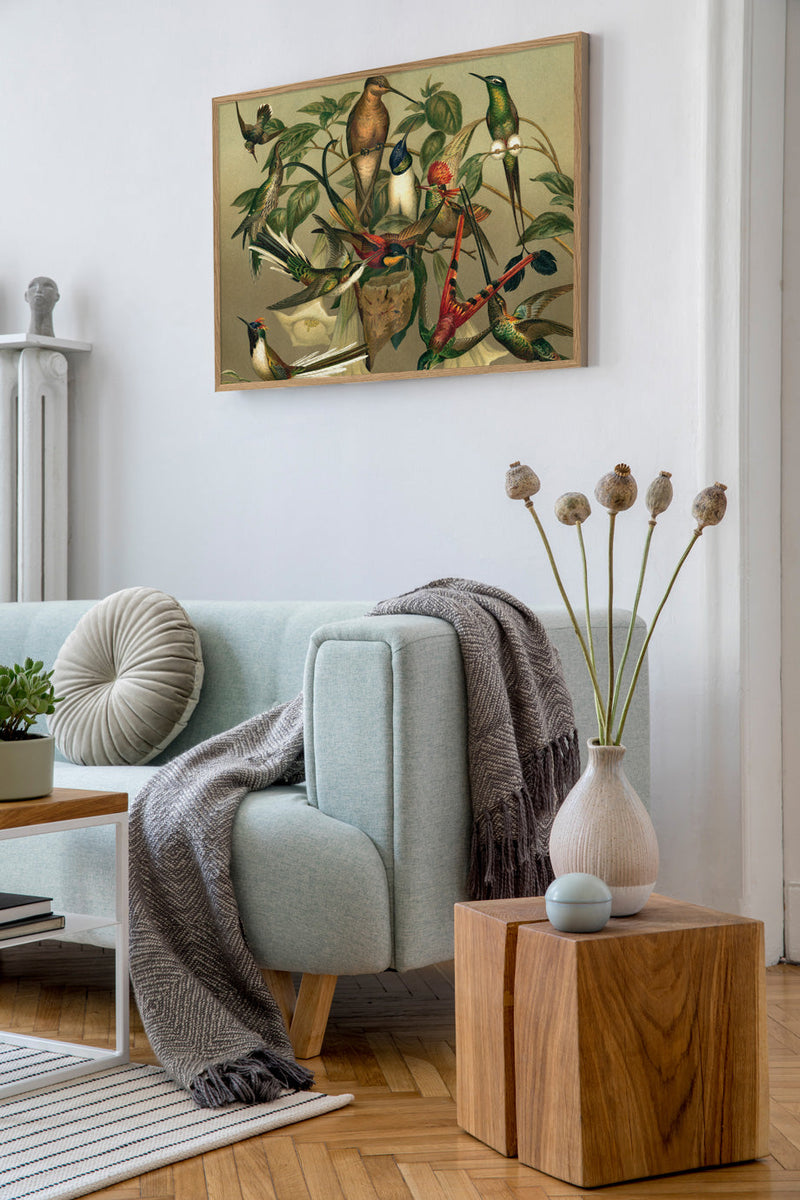 Hummingbirds Horizontal