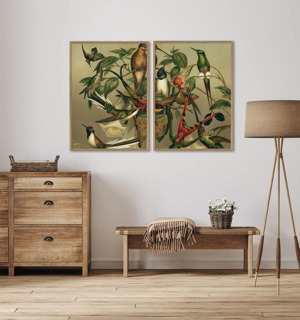 Hummingbirds Right side