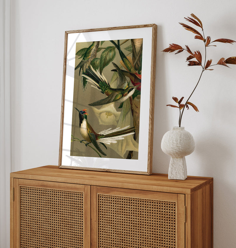 Hummingbirds Close-up