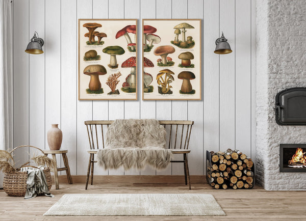 Mushrooms Right Side