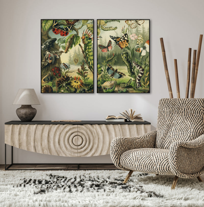 Larvae and butterflies Right Side