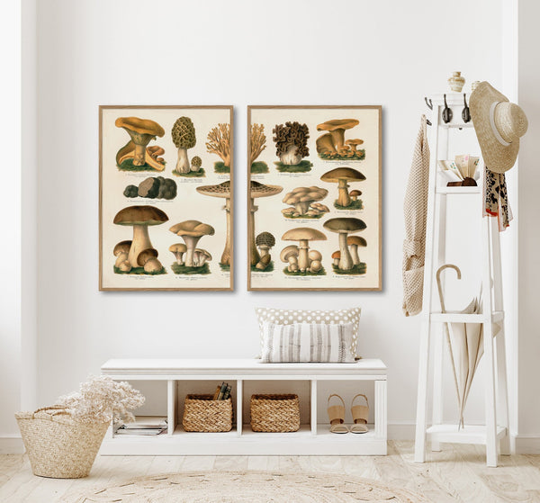 Mushrooms II Right Side