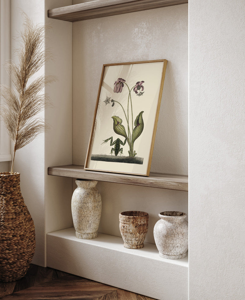 Handstanding Water Frog