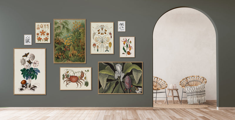 Orange Lillies, Insects & a Shell