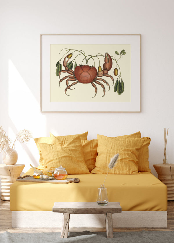 Crab And Tapia Branch