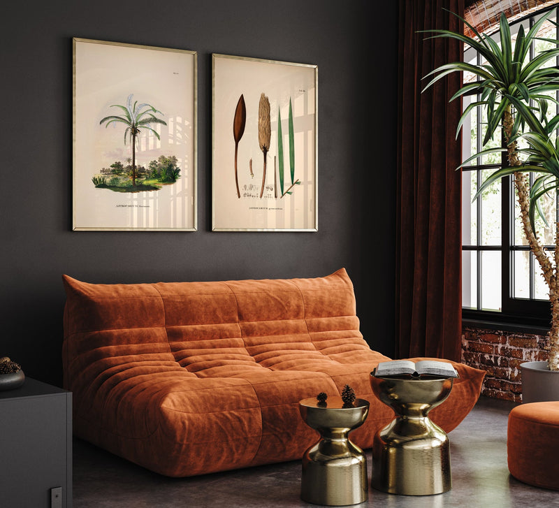 Astrocaryum Murumurú