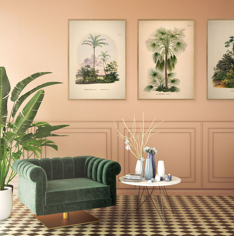 Astrocaryum Vulgare Cocos Nucifare