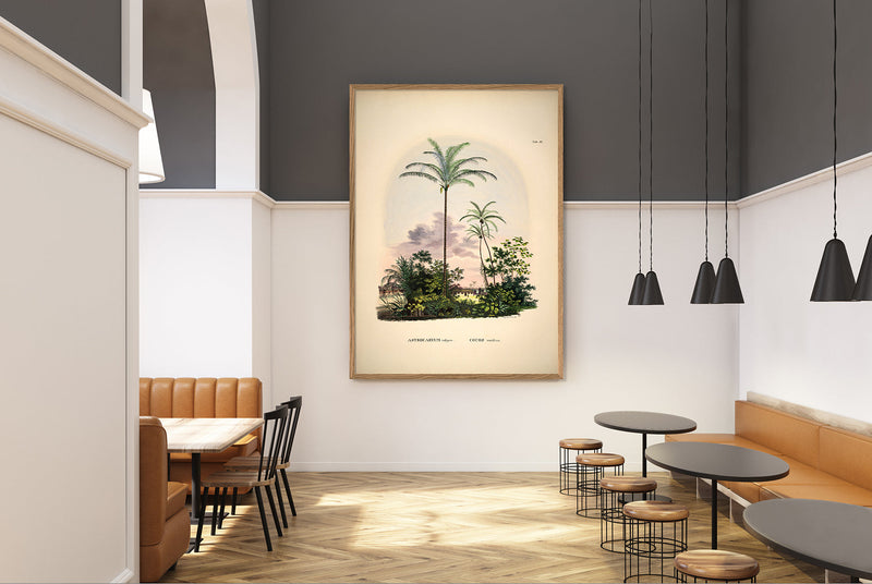 Astrocaryum Vulgare Cocos Nucifare