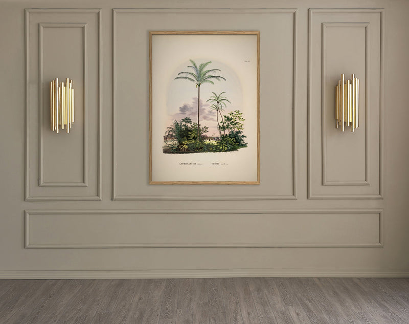 Astrocaryum Vulgare Cocos Nucifare