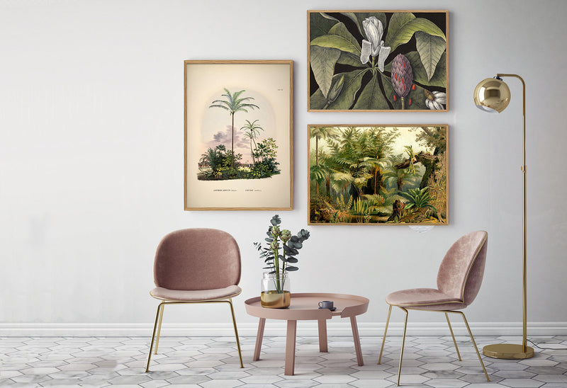 Astrocaryum Vulgare Cocos Nucifare