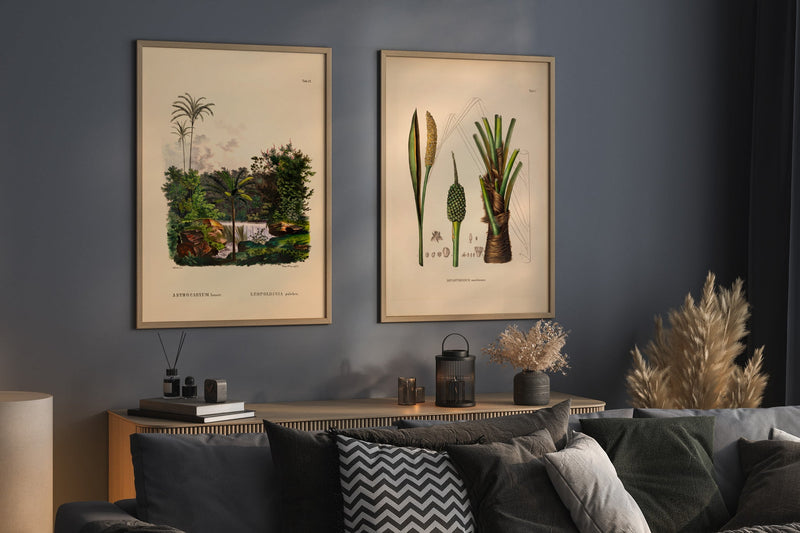 Diplothemium Maritimum