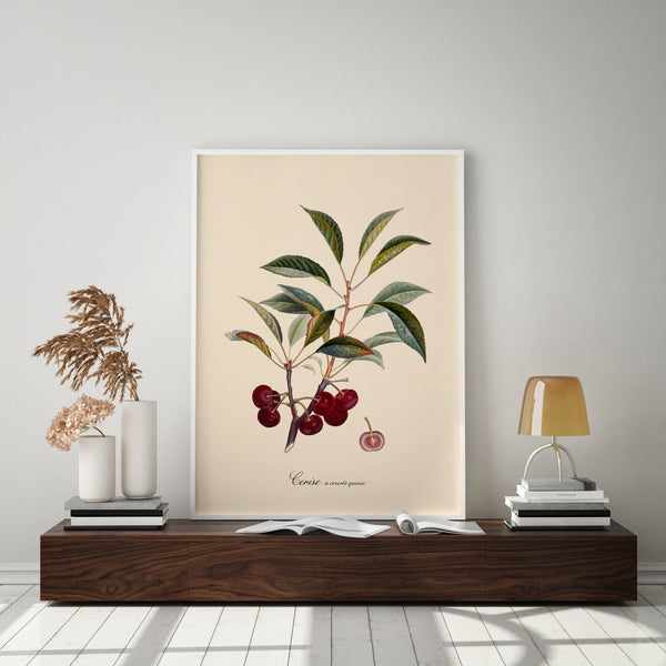 Cerise à Courte Queue