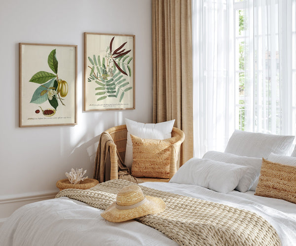 Anona Fructu Lutefcente