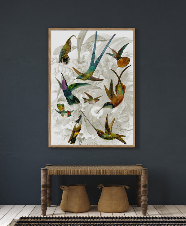 Hummingbirds