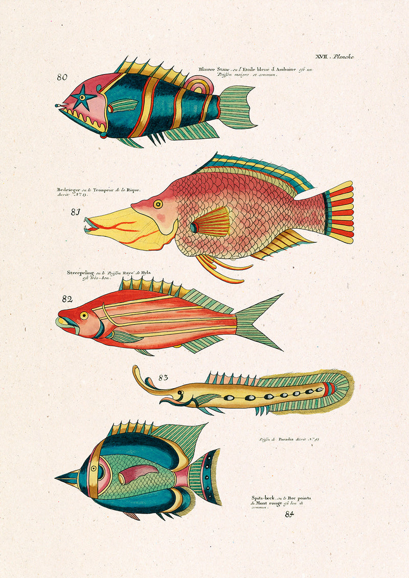 Poissons Colorés Quatre