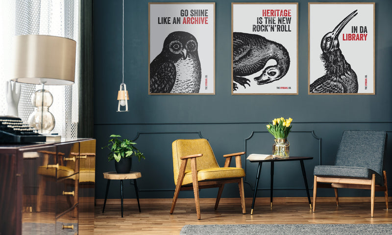 Go Shine Like an Archive