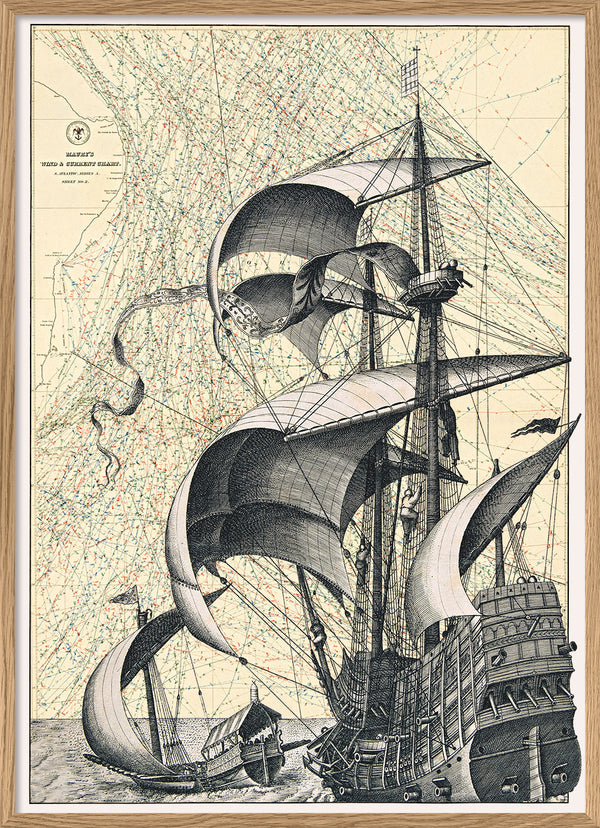 Wind & Current