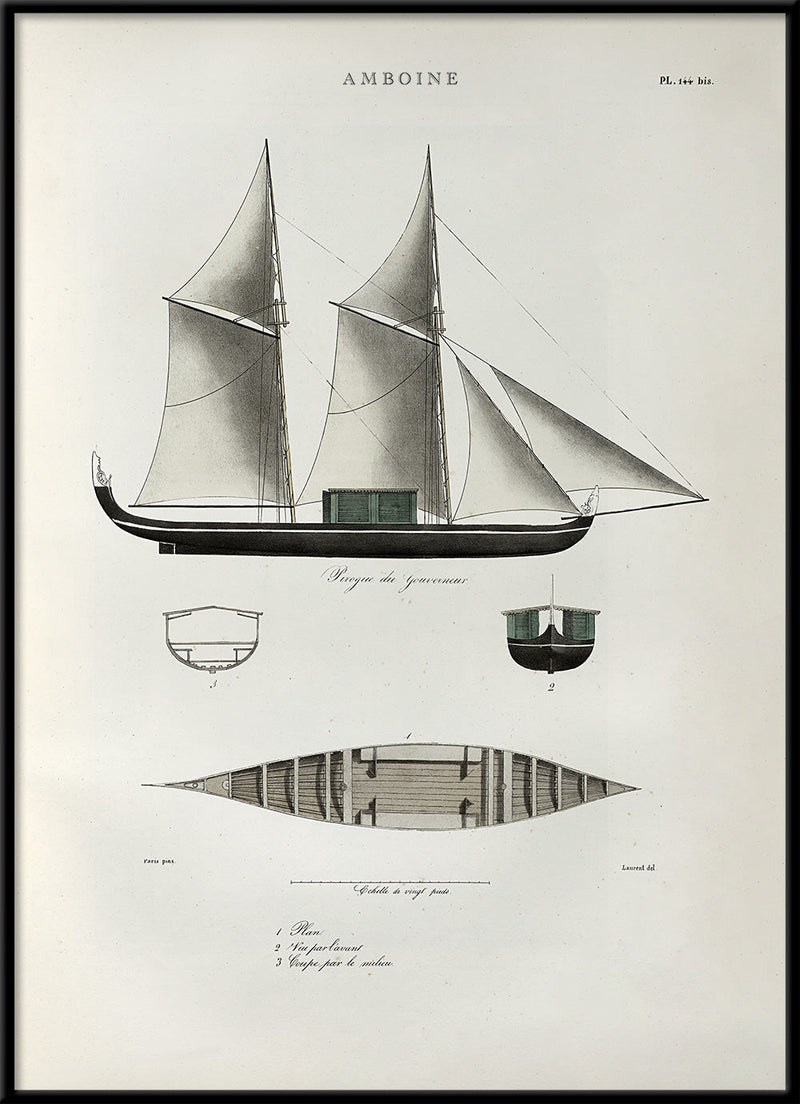 Pirogue Amboine