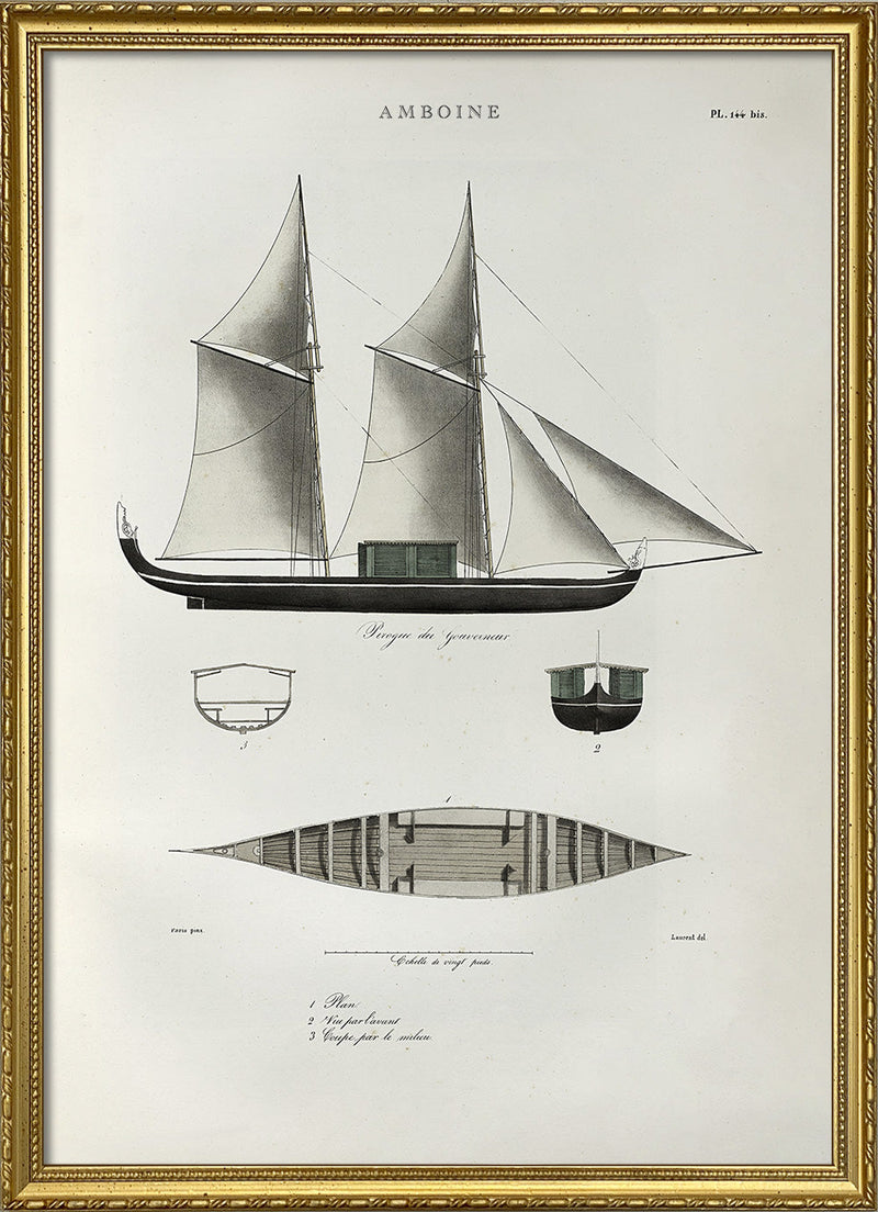 Pirogue Amboine