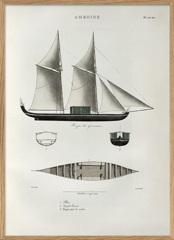Pirogue Amboine
