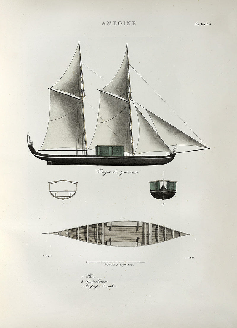 Pirogue Amboine