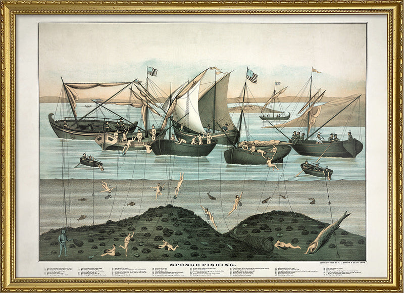 Sponge Fishing