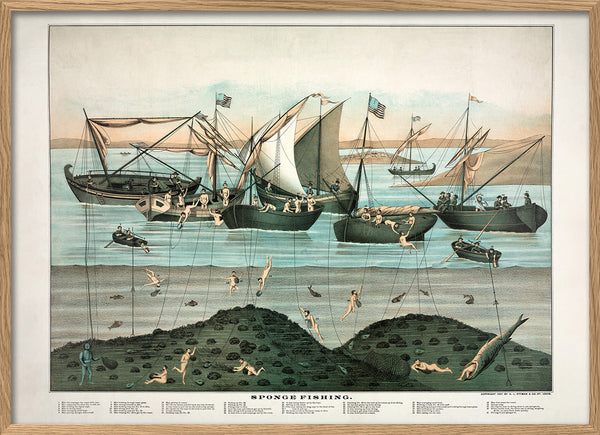 Sponge Fishing