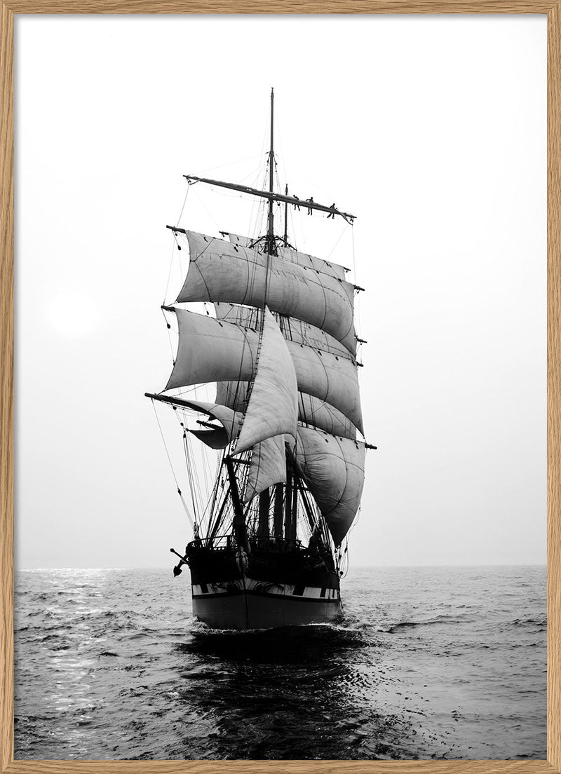 County of Roxburgh Merchant Ship