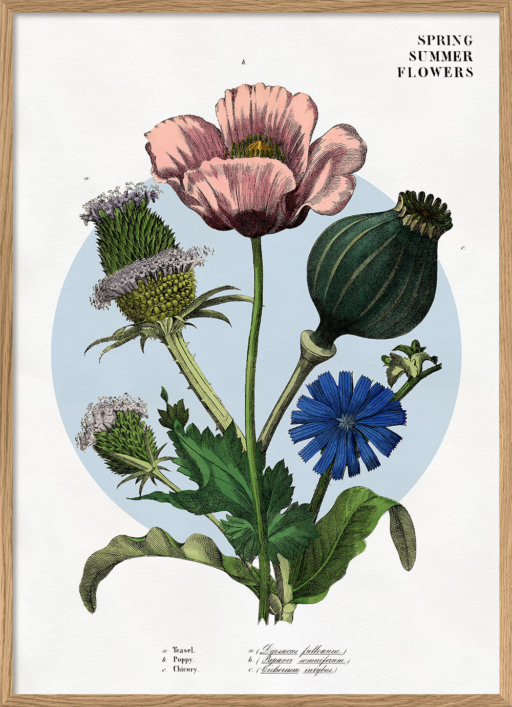 Spring Summer Flowers. – The Dybdahl Co.
