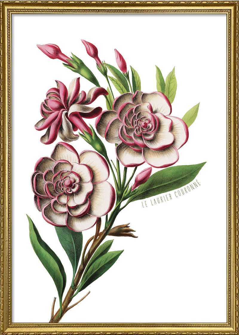 Le Laurier Couronné